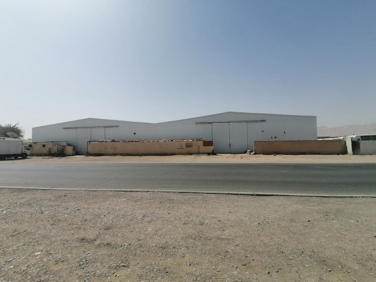 ارض للإيجار في مزيد - العين