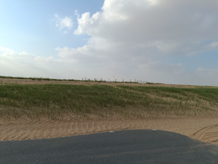 ارض للإيجار في ضاحيه السيوح - الشارقه