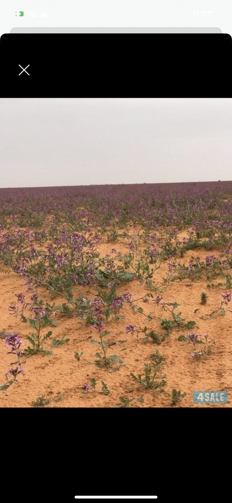 ارض للايجار في ميناء عبدالله